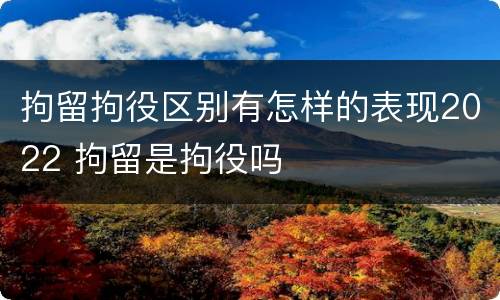 拘留拘役区别有怎样的表现2022 拘留是拘役吗