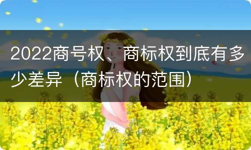 2022商号权、商标权到底有多少差异（商标权的范围）