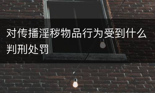 对传播淫秽物品行为受到什么判刑处罚