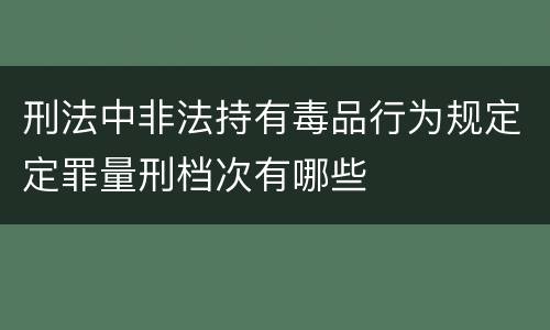 刑法中非法持有毒品行为规定定罪量刑档次有哪些