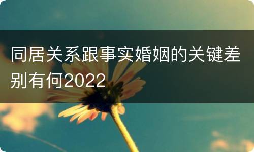 同居关系跟事实婚姻的关键差别有何2022