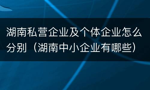 湖南私营企业及个体企业怎么分别（湖南中小企业有哪些）