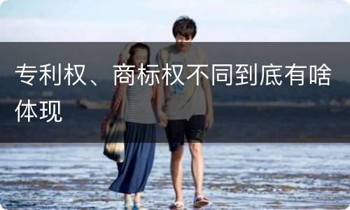 专利权、商标权不同到底有啥体现