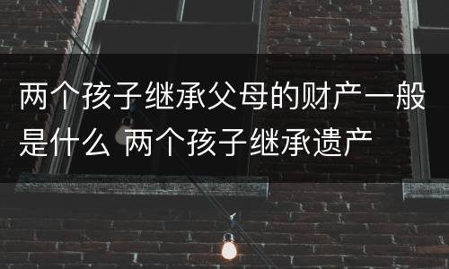 两个孩子继承父母的财产一般是什么 两个孩子继承遗产