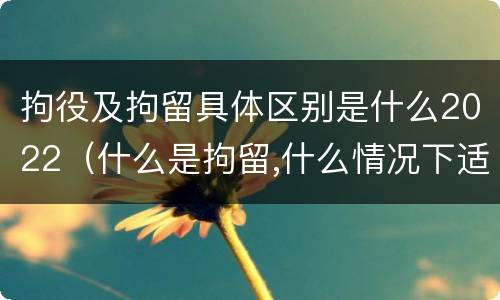 拘役及拘留具体区别是什么2022（什么是拘留,什么情况下适用拘留）
