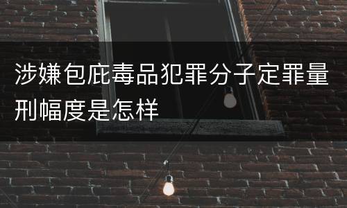 涉嫌包庇毒品犯罪分子定罪量刑幅度是怎样