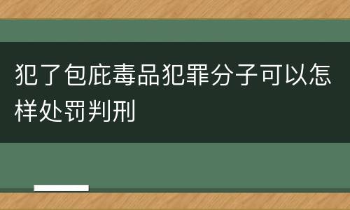 犯了包庇毒品犯罪分子可以怎样处罚判刑