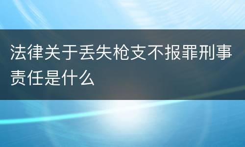 法律关于丢失枪支不报罪刑事责任是什么