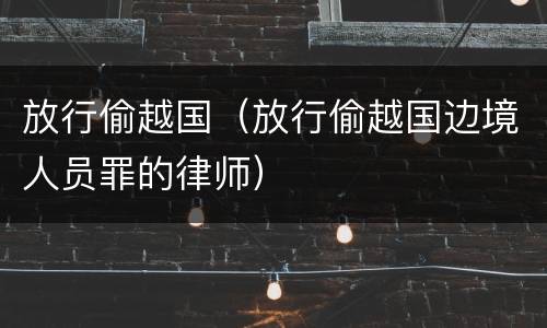 放行偷越国（放行偷越国边境人员罪的律师）