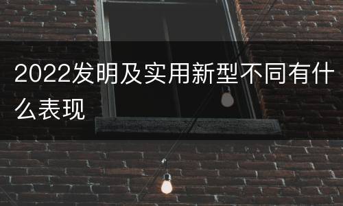 2022发明及实用新型不同有什么表现