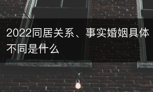 2022同居关系、事实婚姻具体不同是什么