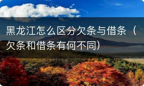 黑龙江怎么区分欠条与借条（欠条和借条有何不同）