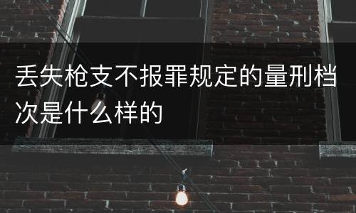 丢失枪支不报罪规定的量刑档次是什么样的