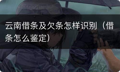 云南借条及欠条怎样识别（借条怎么鉴定）