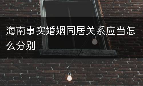 海南事实婚姻同居关系应当怎么分别