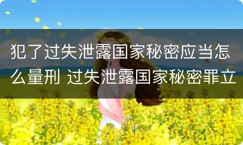 犯了过失泄露国家秘密应当怎么量刑 过失泄露国家秘密罪立案的标准