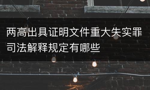 两高出具证明文件重大失实罪司法解释规定有哪些