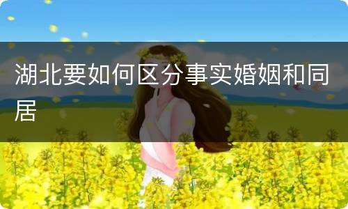 湖北要如何区分事实婚姻和同居