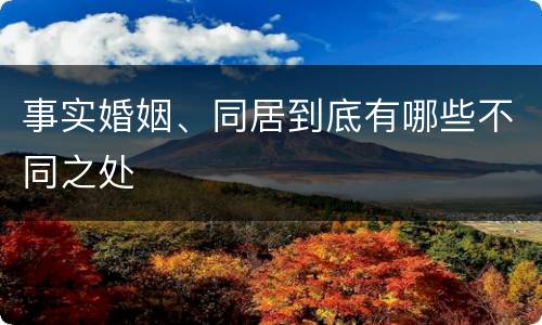 事实婚姻、同居到底有哪些不同之处