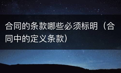 合同的条款哪些必须标明（合同中的定义条款）