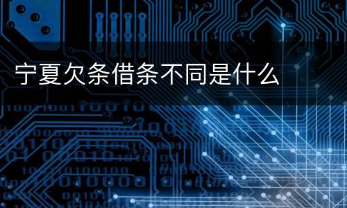 宁夏欠条借条不同是什么