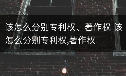 该怎么分别专利权、著作权 该怎么分别专利权,著作权