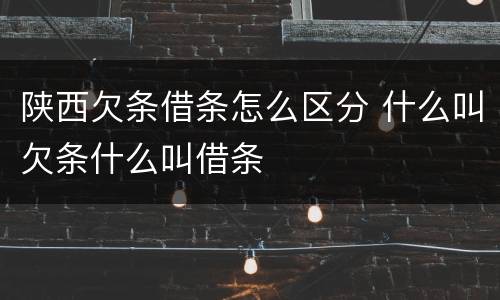 陕西欠条借条怎么区分 什么叫欠条什么叫借条
