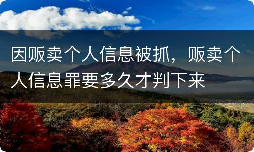 因贩卖个人信息被抓，贩卖个人信息罪要多久才判下来