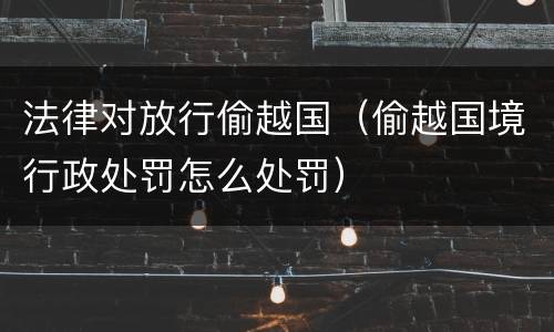 法律对放行偷越国（偷越国境行政处罚怎么处罚）