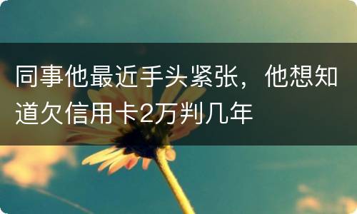 同事他最近手头紧张，他想知道欠信用卡2万判几年