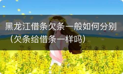 黑龙江借条欠条一般如何分别（欠条给借条一样吗）