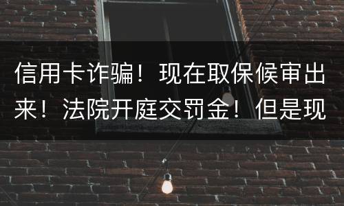 信用卡诈骗！现在取保候审出来！法院开庭交罚金！但是现在没钱交！法院会让收监吗