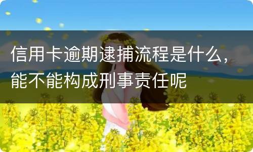 信用卡逾期逮捕流程是什么，能不能构成刑事责任呢