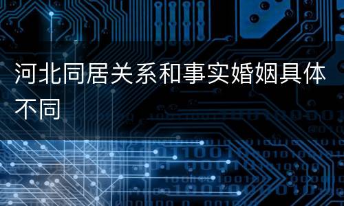 河北同居关系和事实婚姻具体不同