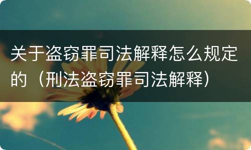关于盗窃罪司法解释怎么规定的（刑法盗窃罪司法解释）