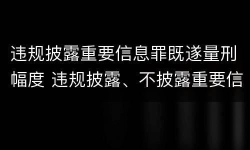 违规披露重要信息罪既遂量刑幅度 违规披露、不披露重要信息罪追诉标准