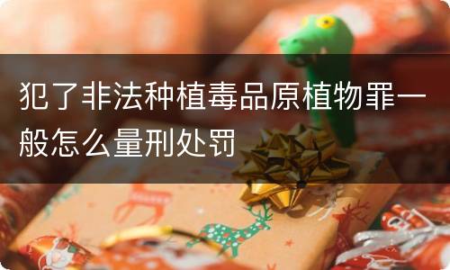 犯了非法种植毒品原植物罪一般怎么量刑处罚