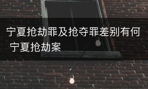 宁夏抢劫罪及抢夺罪差别有何 宁夏抢劫案