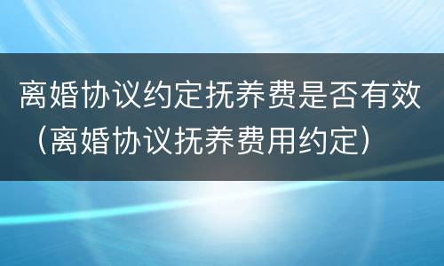 离婚协议约定抚养费是否有效（离婚协议抚养费用约定）