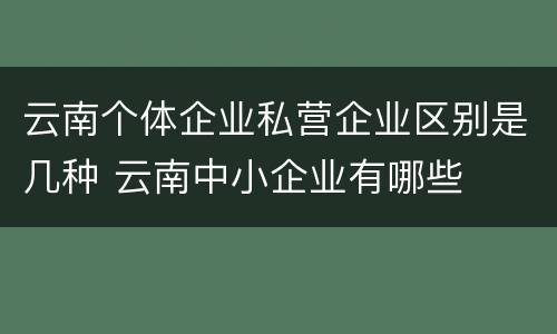 云南个体企业私营企业区别是几种 云南中小企业有哪些