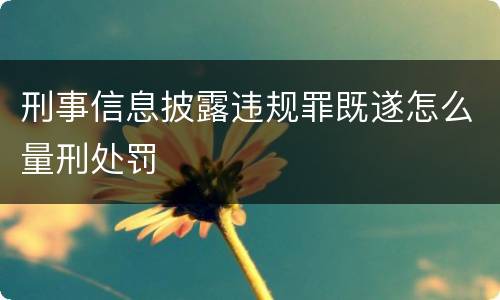 刑事信息披露违规罪既遂怎么量刑处罚