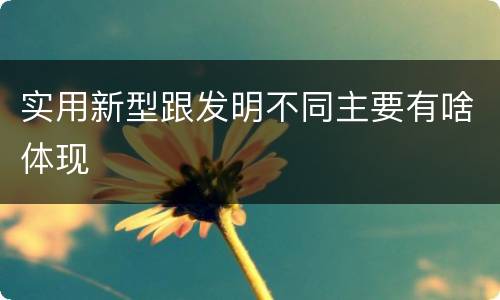实用新型跟发明不同主要有啥体现