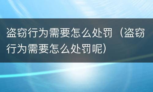 盗窃行为需要怎么处罚（盗窃行为需要怎么处罚呢）