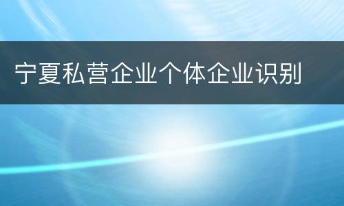 宁夏私营企业个体企业识别
