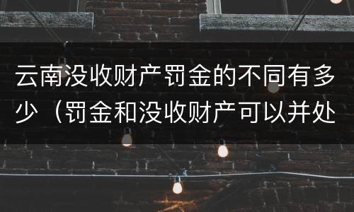 云南没收财产罚金的不同有多少（罚金和没收财产可以并处吗）