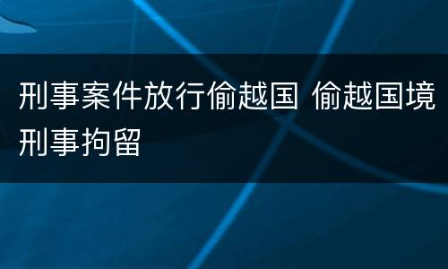 刑事案件放行偷越国 偷越国境刑事拘留