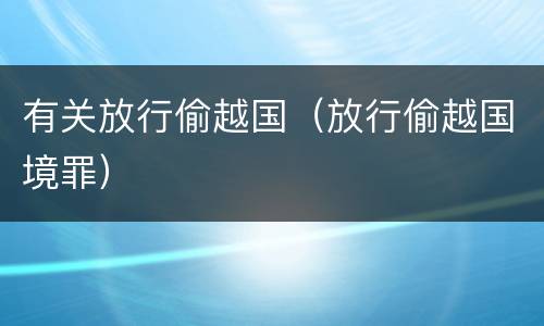 有关放行偷越国(放行偷越国境罪)