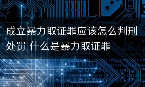 成立暴力取证罪应该怎么判刑处罚 什么是暴力取证罪