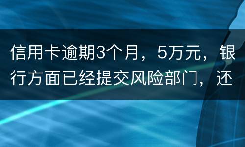 信用卡逾期3个月，5万元，银行方面已经提交风险部门，还不上什么办