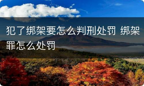 犯了绑架要怎么判刑处罚 绑架罪怎么处罚